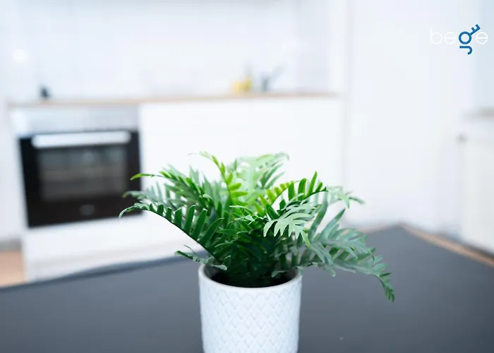 아파트 Bege Stillspace *